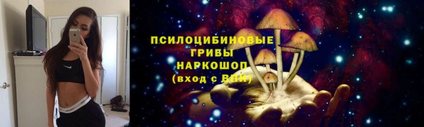 спиды Алексин
