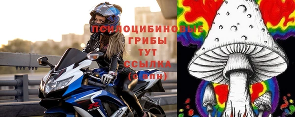 дурь Алзамай